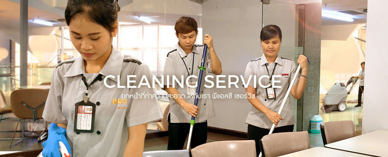 Cleaner